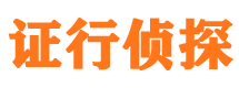 武川私家调查公司